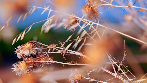 Pasee a pie o en bicicleta por los caminos del entorno...   - Foto: e-naxian.com